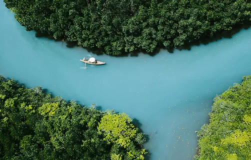 aerial view of a boat on a river