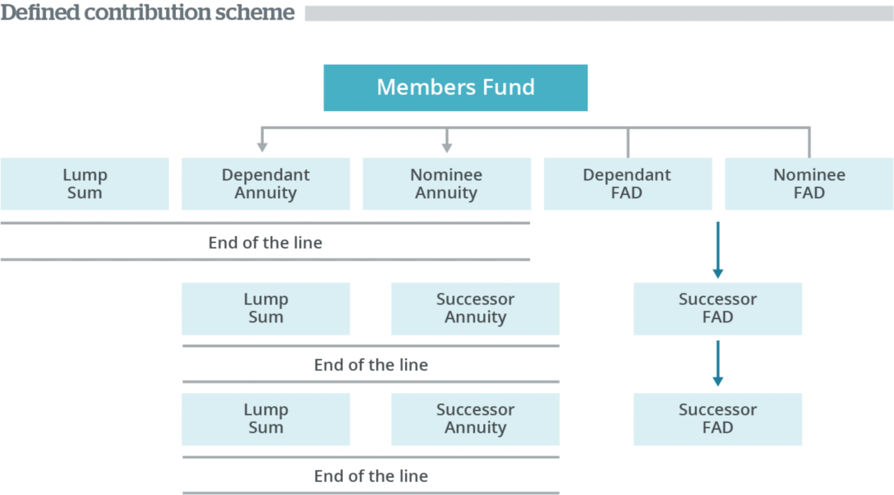 Defined contribution scheme