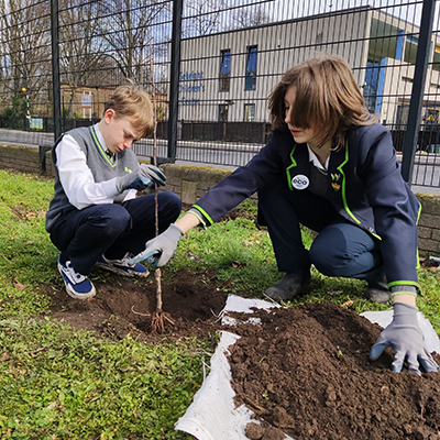 Working together for the love of trees
